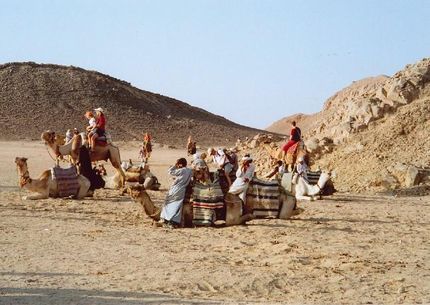 Szafari Fun Hurghada